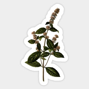 Herbal Flower Branch Sticker